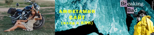 прущие грибы Алзамай