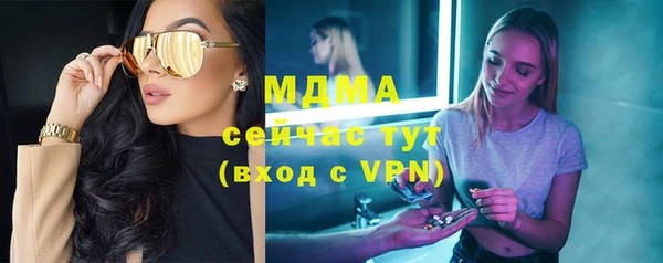 стаф Алексин