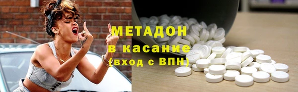 прущие грибы Алзамай