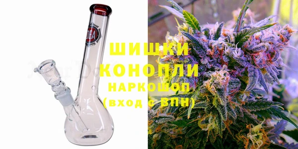прущие грибы Алзамай