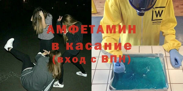 прущие грибы Алзамай